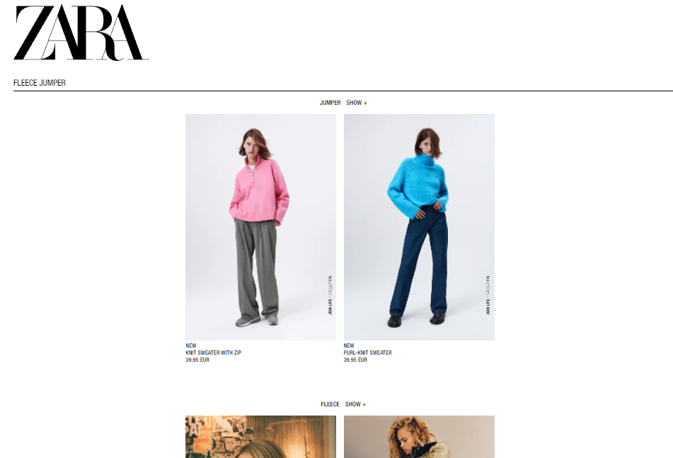 Zara no search results page